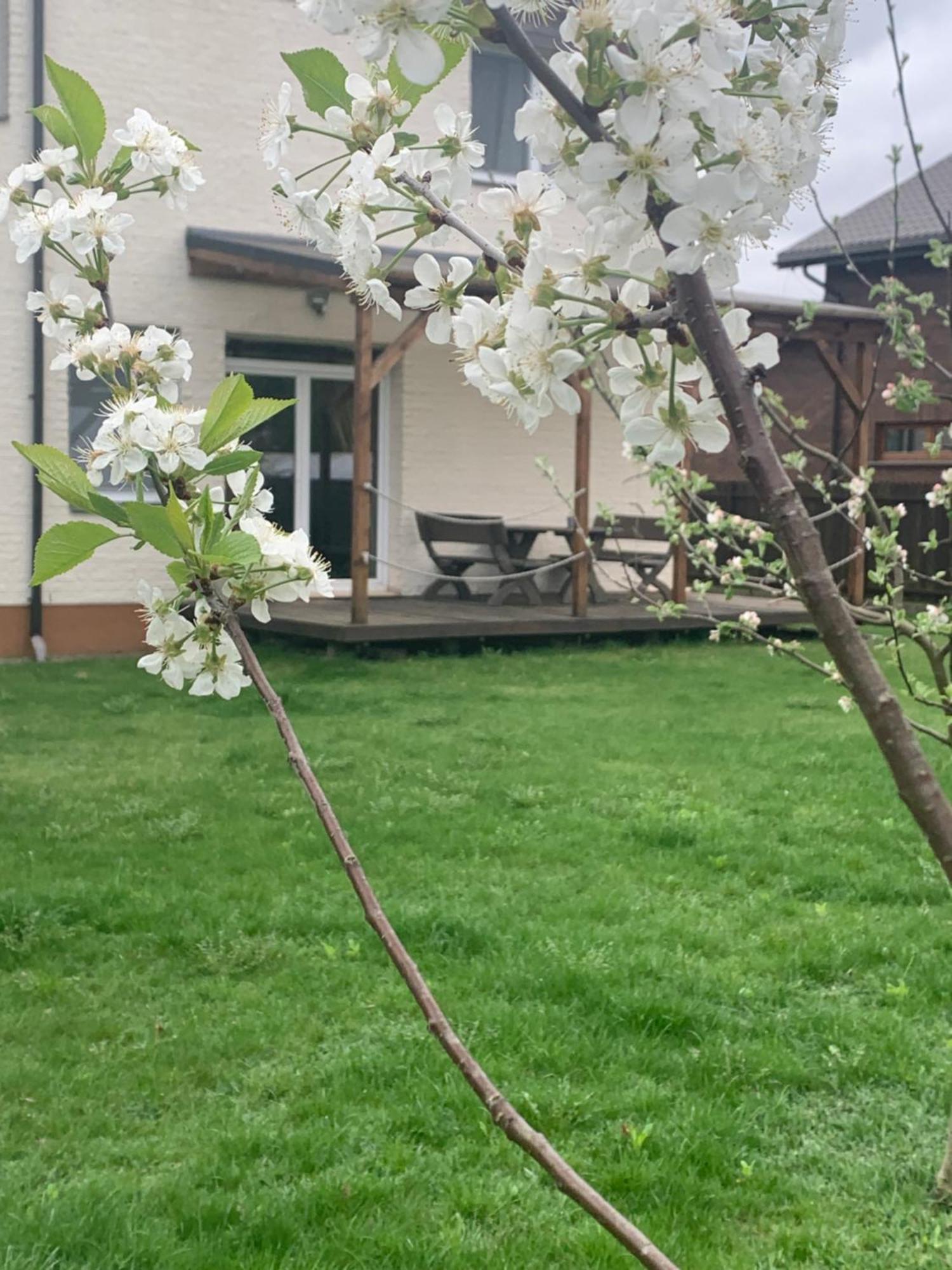 Apartmán Pilaites Svetingi Namai VNO Exteriér fotografie